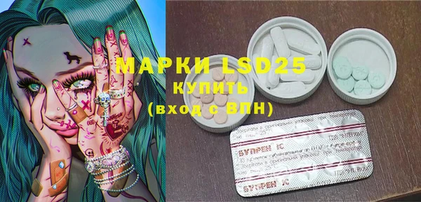 амф Липки