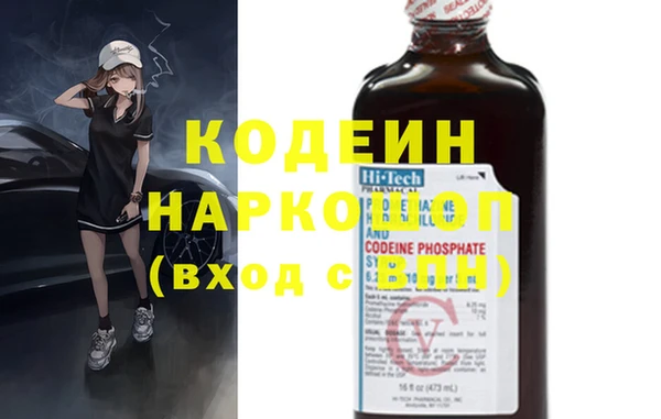 амф Липки